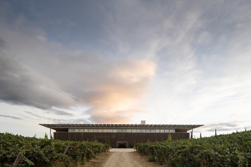 Long view of horizontal building with solar canopy roof approached by path through vineyard at dusk