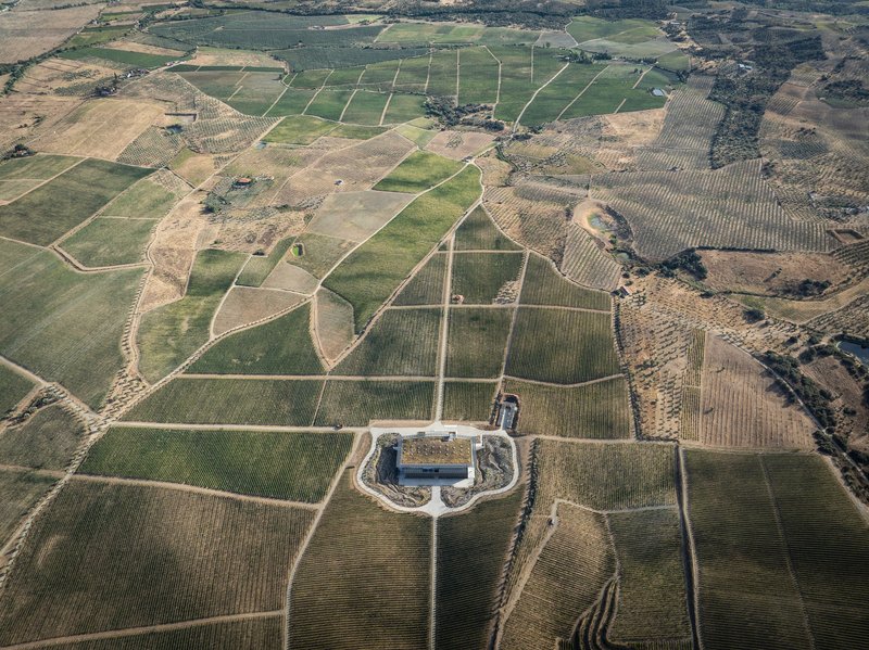 Drone view of two buildings centered within geometric patchwork of vineyard plots and agricultural land