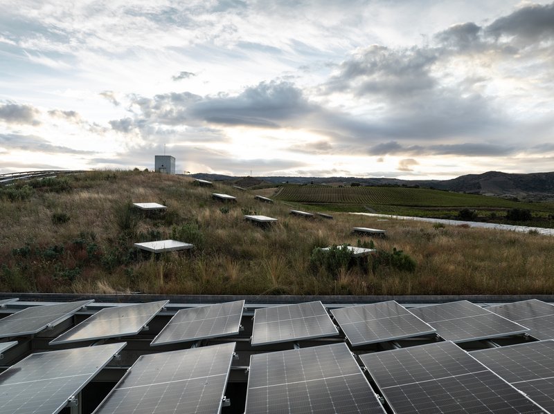 Solar panel array on green roof with vineyard and water tower at dusk