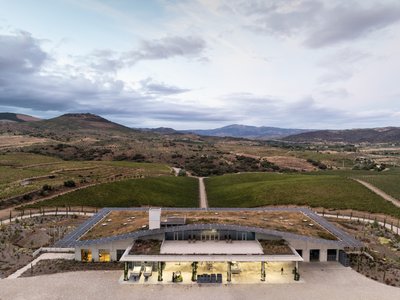 Luís Loureiro Buries a Positive-Energy Winery Beneath the Douro's Organic Vineyards
