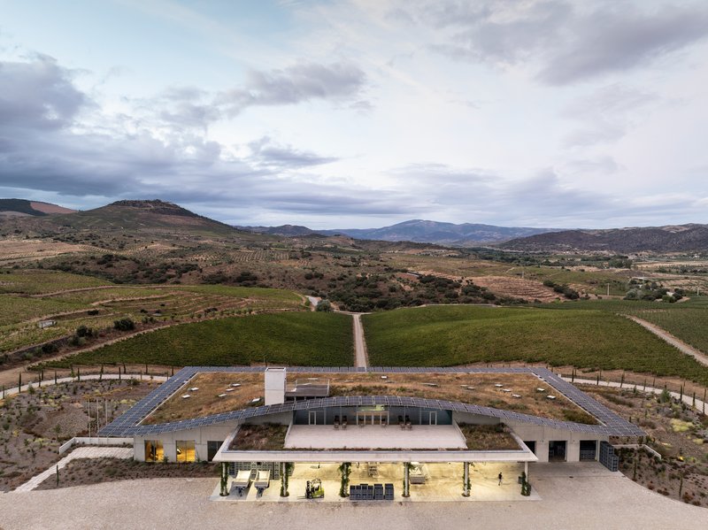 Luís Loureiro Buries a Positive-Energy Winery Beneath the Douro's Organic Vineyards