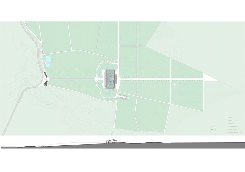 Site plan and section drawing showing building placement within vineyard parcels and topography