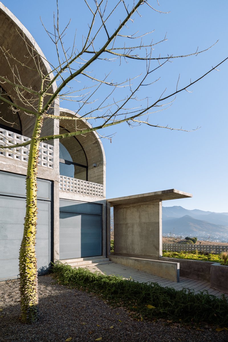 Entrance sequence showing arched vault and lattice screen wall with climbing vines and planted bed