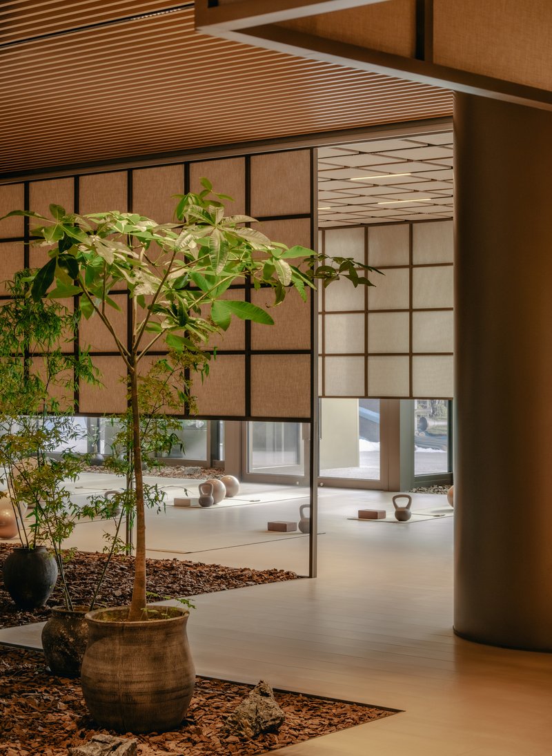Interior courtyard with potted tree in ceramic vessel beside gridded screen walls and timber slat ceiling