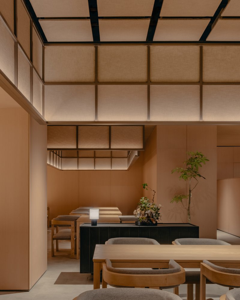 Interior dining area with translucent gridded ceiling panels, timber furniture and potted greenery under warm evening light