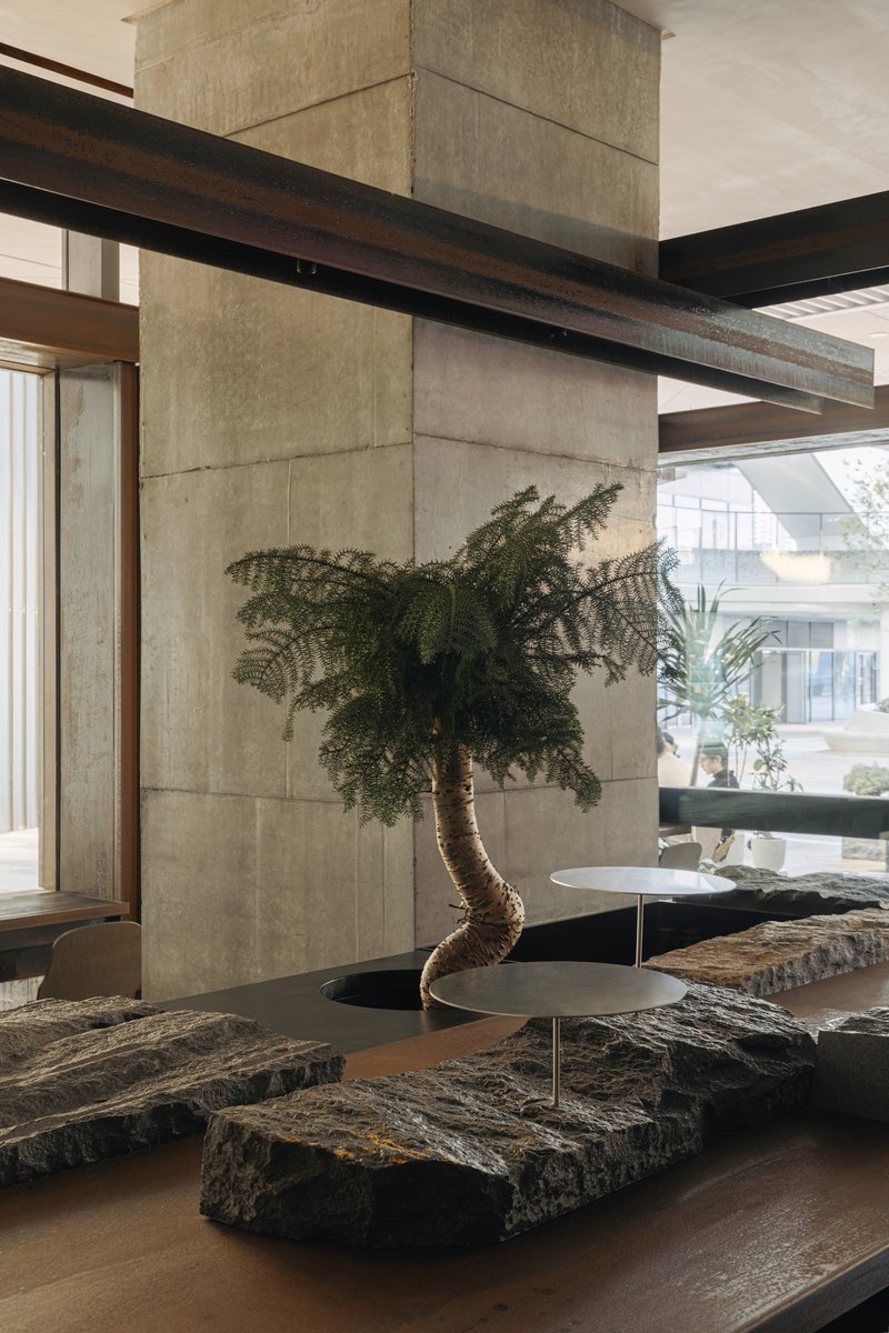 Concrete column wrapped by timber and steel beams with bonsai tree beside stone seating platforms