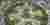 CityScraper: Sustainable Architecture Reimagines the Skyscraper as a Vertical City