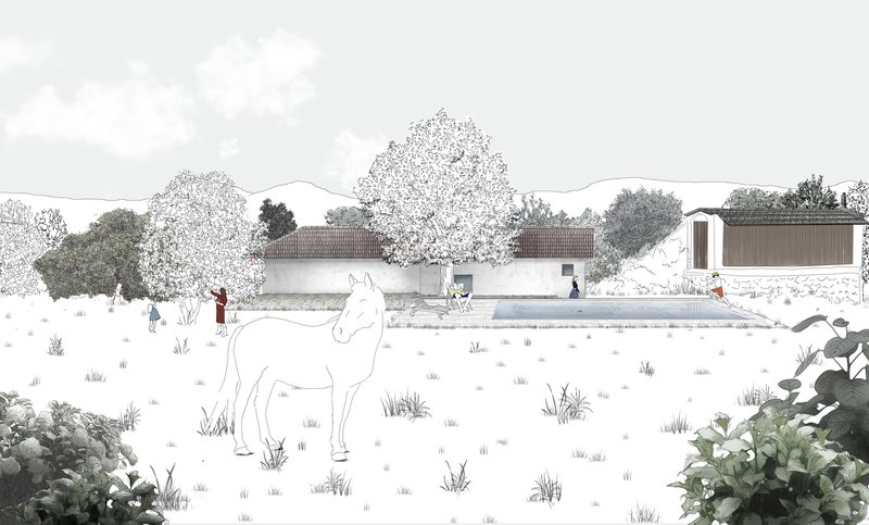 Elevation drawing showing low-lying volumes with tile roofs behind a grazing horse and scattered trees