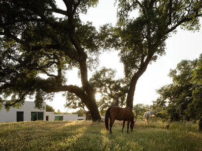 Sabrab Threads a 500-Square-Meter Retreat Between Cork Oaks on Portugal's Alentejo Coast