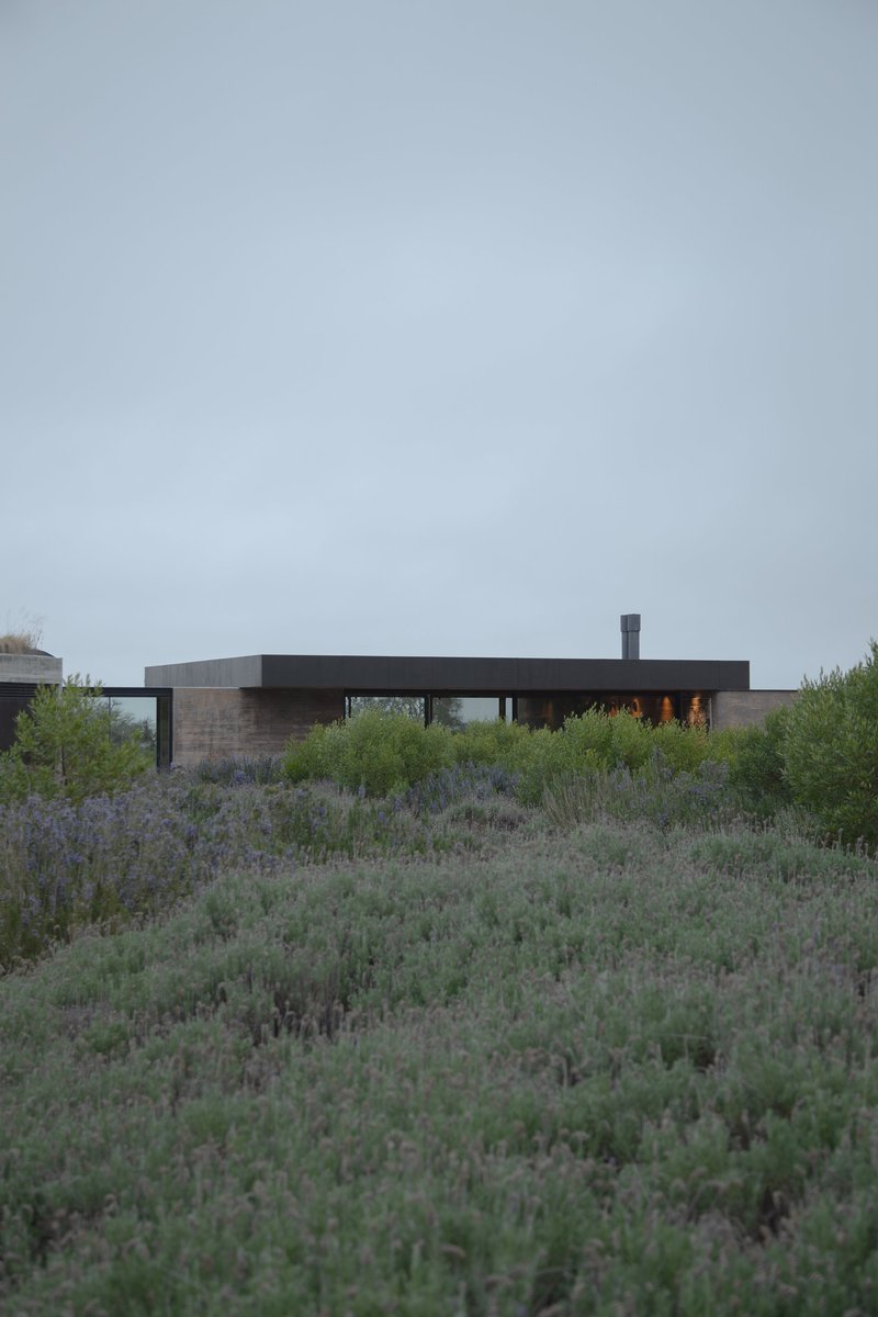 Low horizontal volume with rammed earth walls and dark roof perched above sagebrush in overcast light