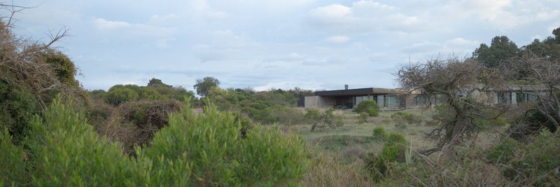 Distant view of the residence nestled into a hillside among native trees and scrub vegetation