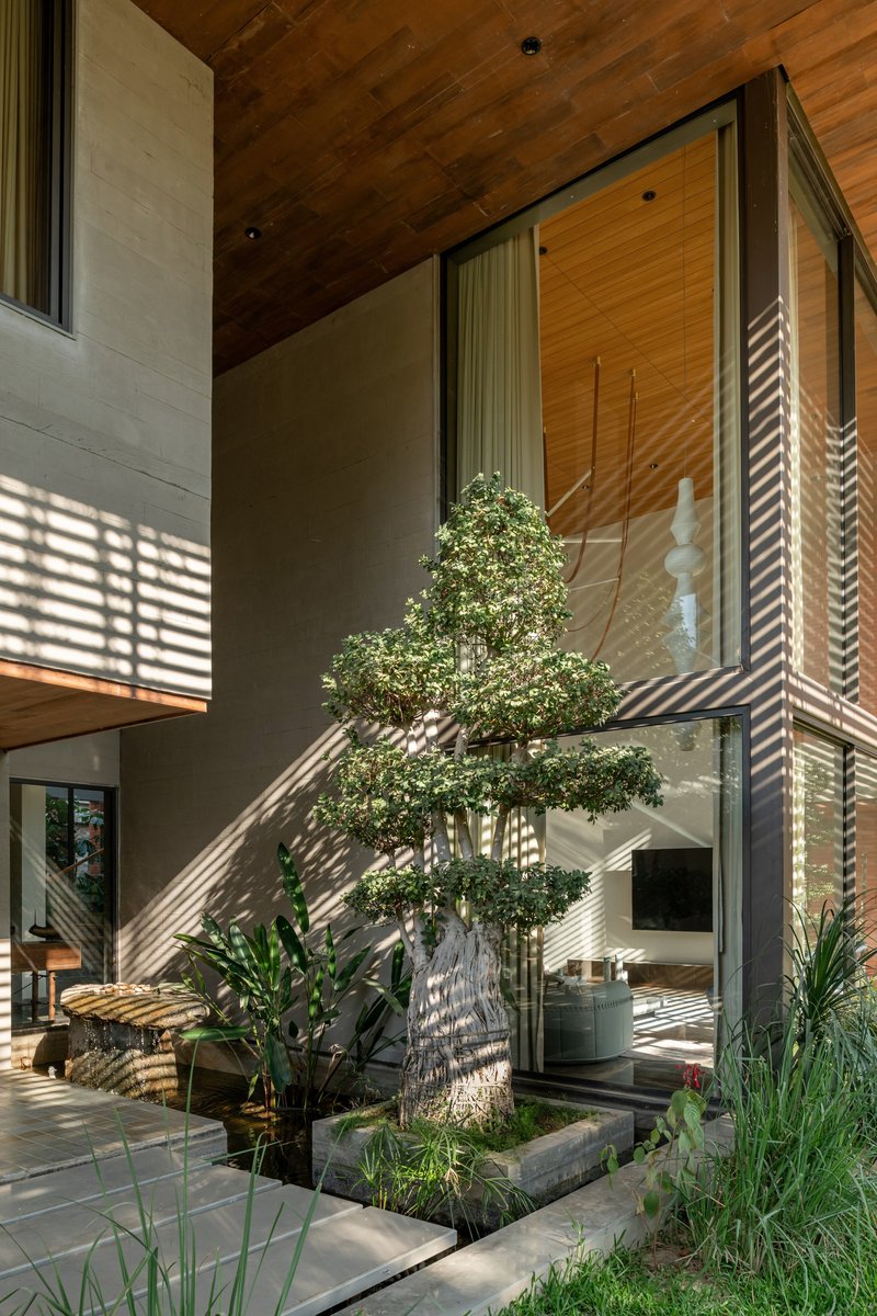 Double-height interior courtyard with planted tree, timber soffit and striped shadow patterns from external screens