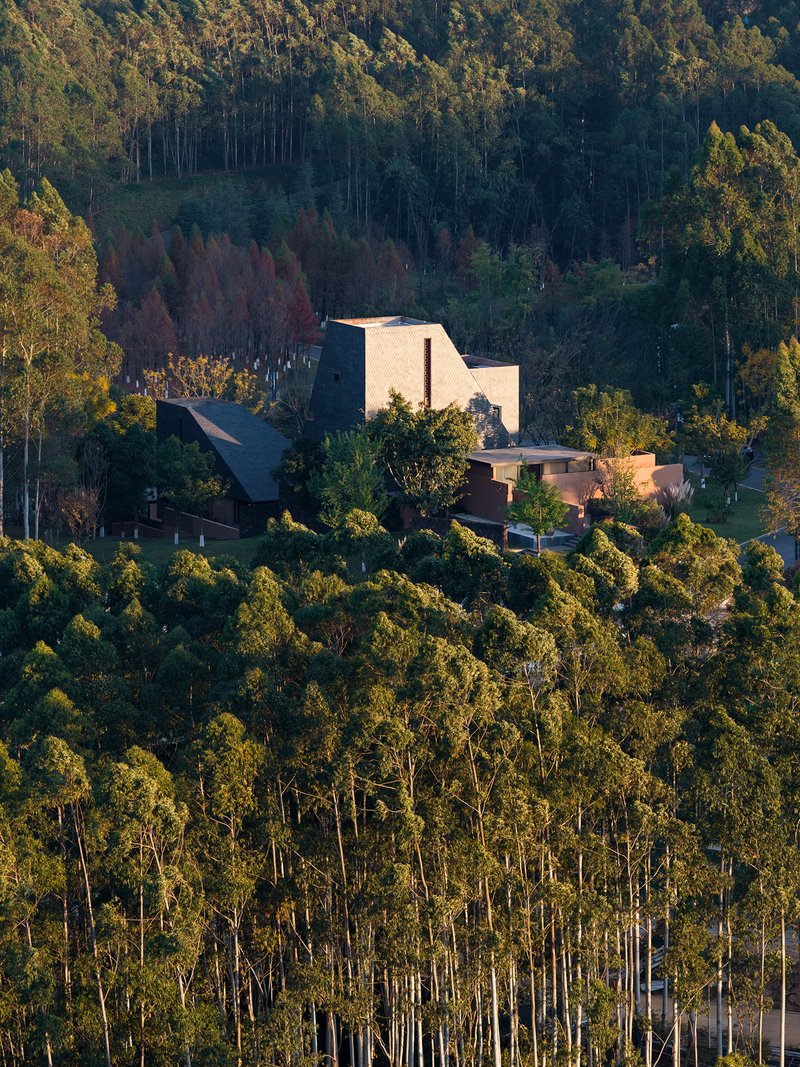 Aerial view of the compound with angled roofs nestled among eucalyptus trees in golden afternoon light