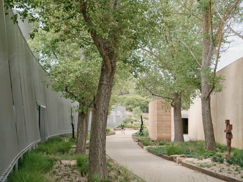 Curved pathway through a grove of mature trees with concrete volumes and a sculpture visible between trunks