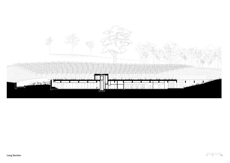Long section drawing showing the partially submerged structure with planted roof under scattered trees