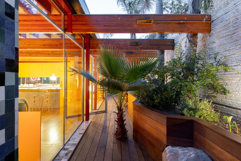 Timber deck courtyard with planted beds and palm beneath exposed beam pergola at dusk