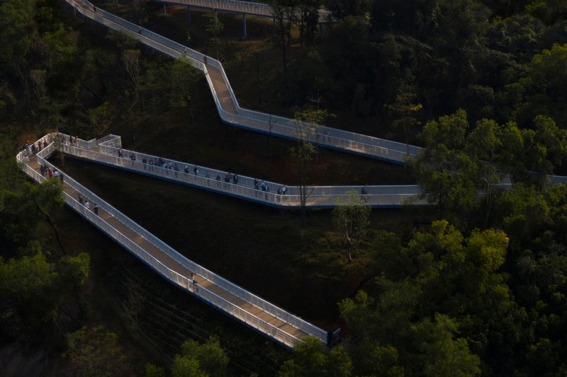 Aerial view of the folding timber-decked walkway threading through tree canopy with visitors strolling along its length