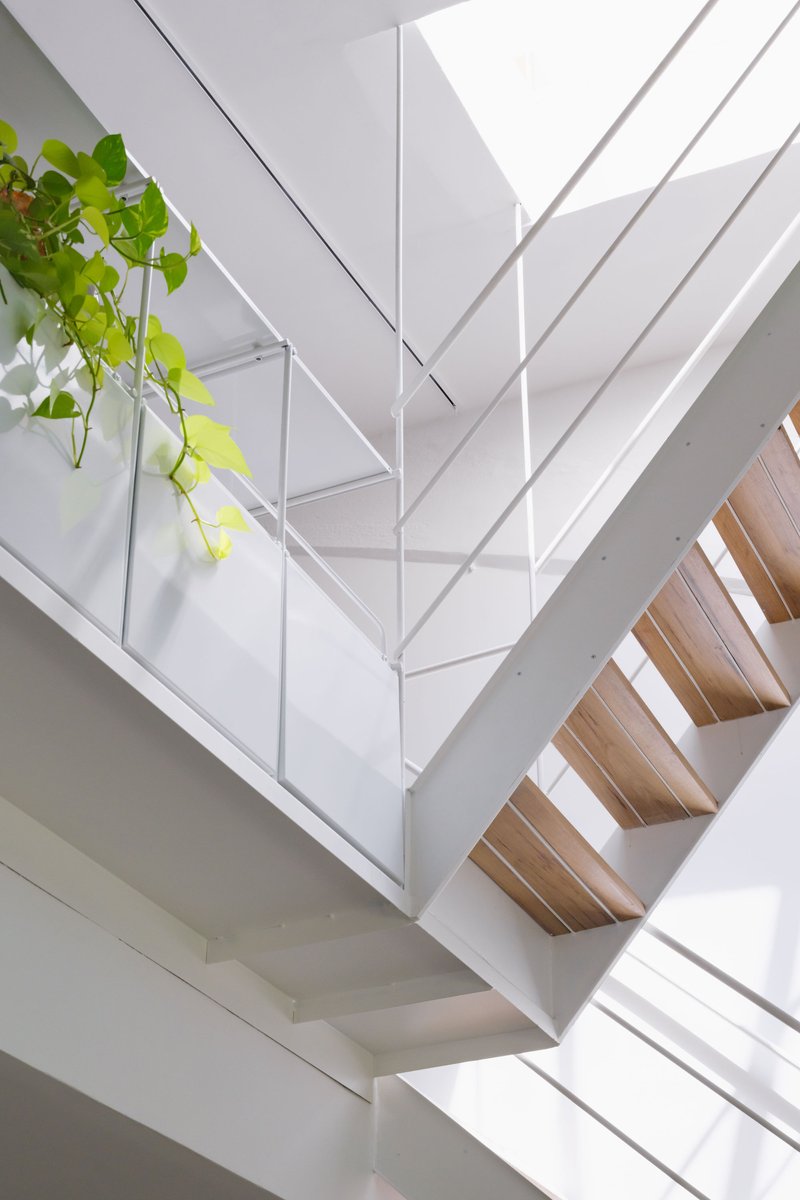 View up through stairwell with cable rails and potted plant on white painted landing