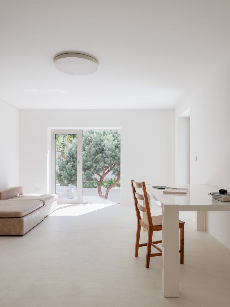 Open living space with pale floor and glazed doors framing a twisted pine in the garden