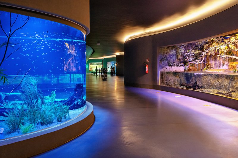 Corridor with cylindrical blue-lit aquarium tank flanked by illuminated exhibit cases along dark walls