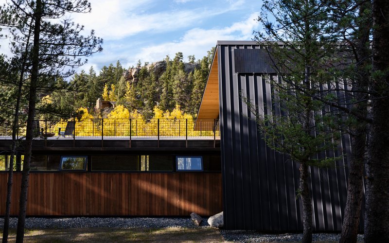 Exterior showing vertical black metal cladding, timber siding, and planted green roof amid pine trees