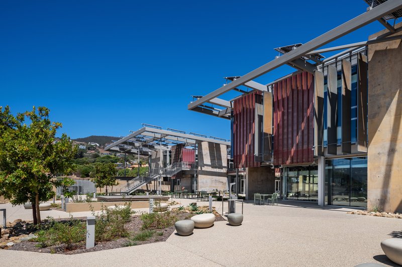 Campus courtyard with young trees and seating beneath solar canopy structures on a clear day