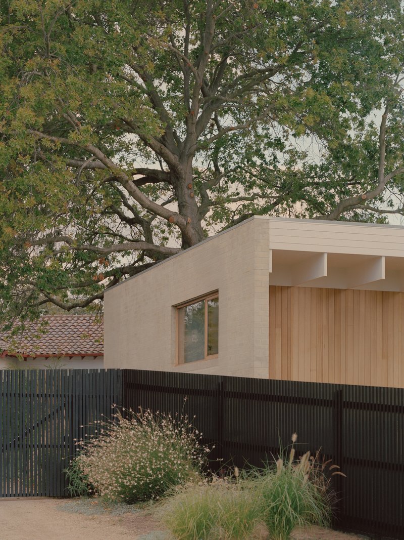 Street facade with timber cladding and black corrugated fence beneath a large overhanging tree canopy