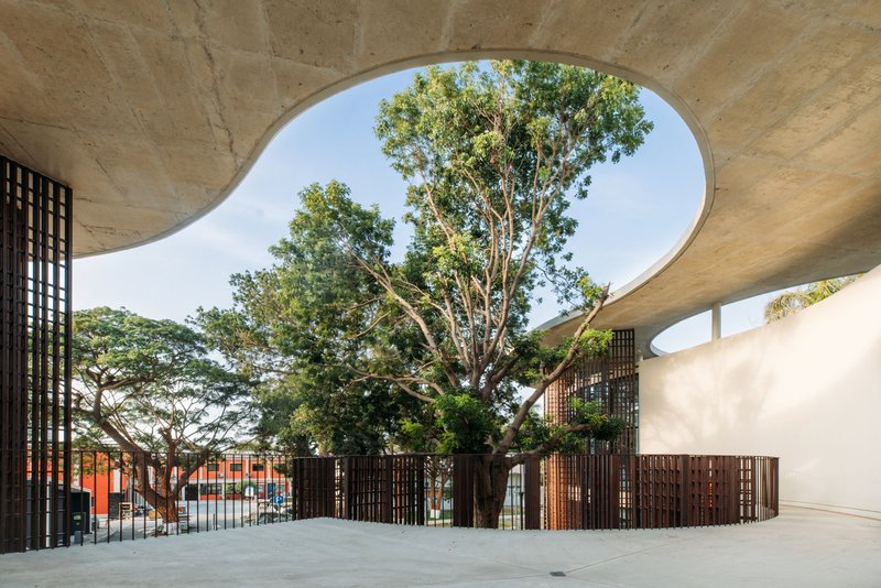 Courtyard with undulating concrete canopy framing a mature tree and perforated metal screens