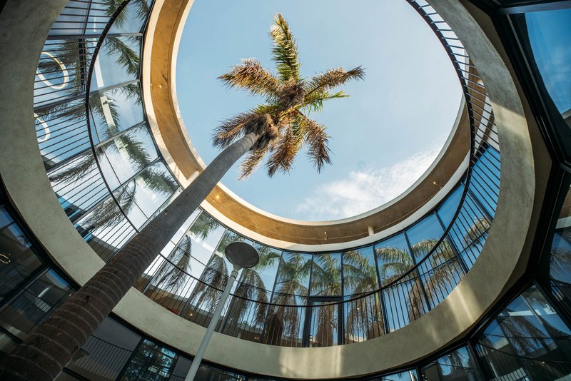 Upward view through circular skylight with timber ring beam framing palm trees against blue sky