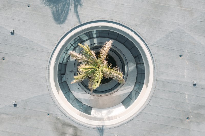 Aerial view of circular courtyard oculus with central palm tree and concentric paving rings
