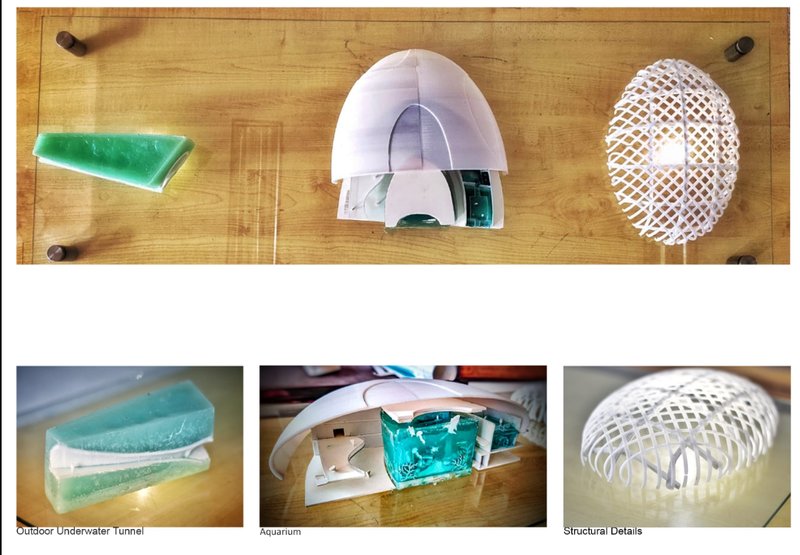 Material and structural model studies exploring the aquarium, underwater tunnel, and shell-like roof system.