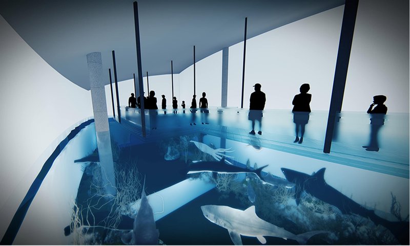 Immersive underwater tunnel where visitors experience aquatic life through a transparent river and ocean exhibition path.