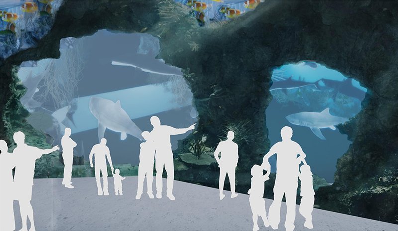 Underwater tunnel experience where visitors walk beside marine life in an immersive aquatic environment.