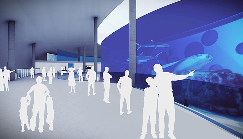 Main aquarium hall designed as a public awareness space for rivers, oceans, and aquatic biodiversity.