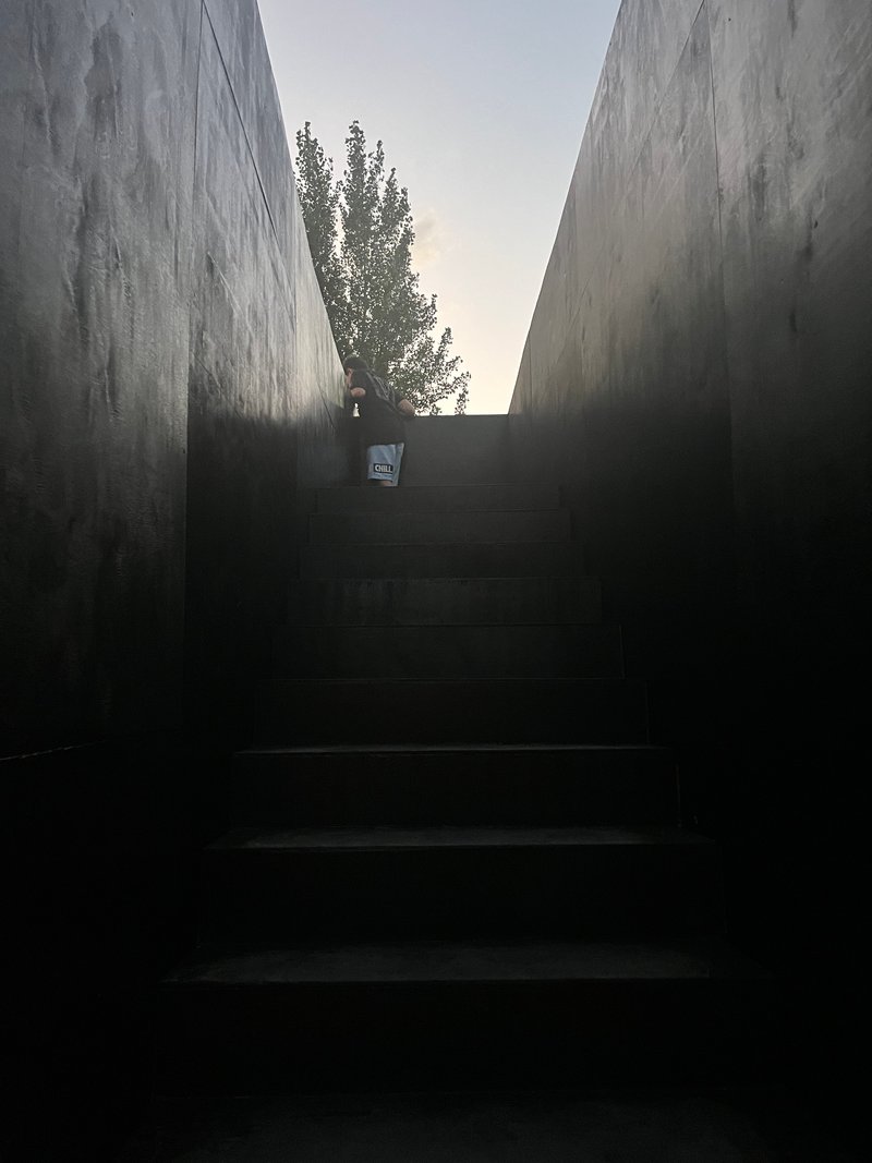 Staircase ascending between tall concrete walls with a lone figure and tree visible at the top