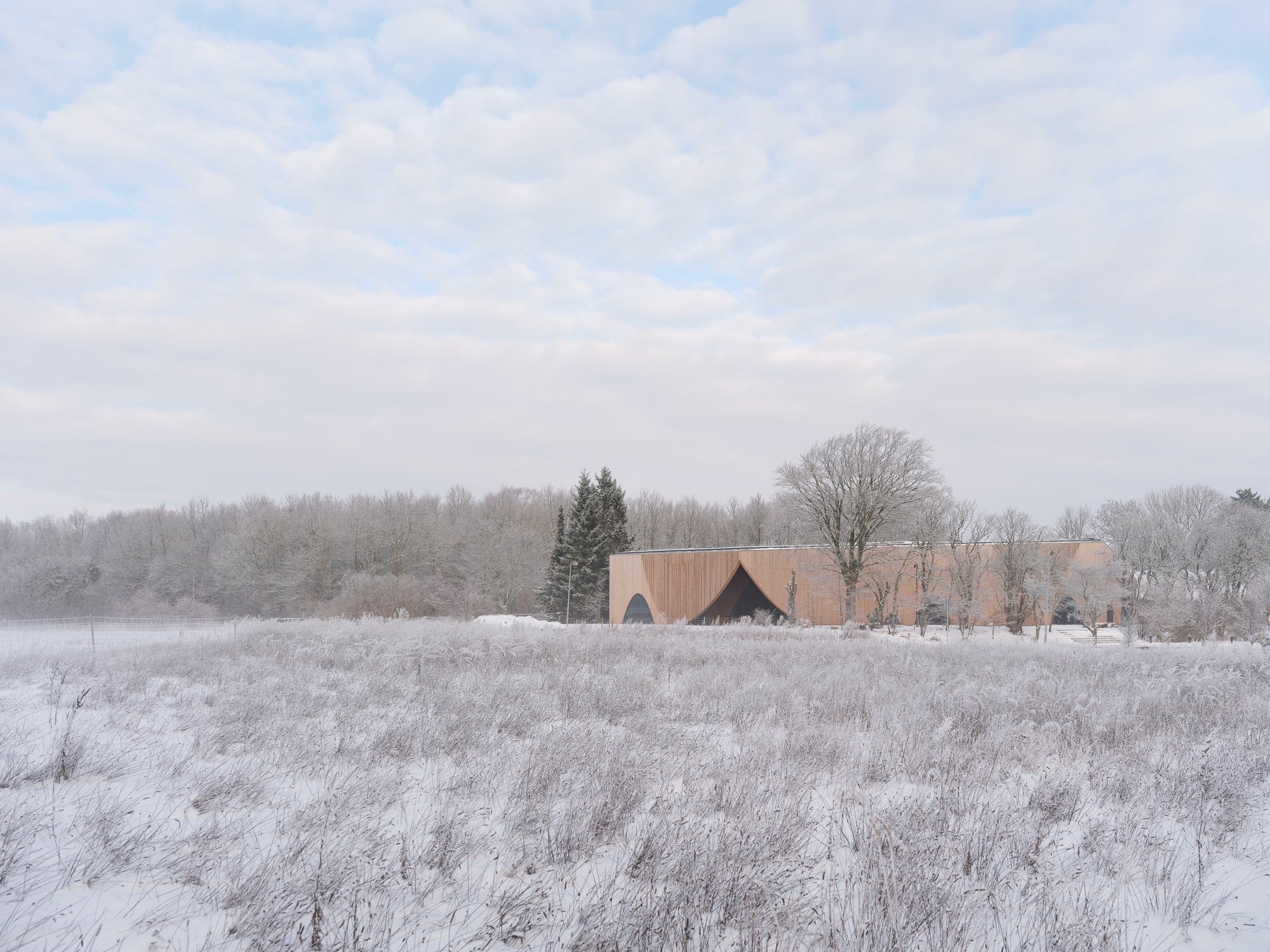 Svendborg Architects and Wohlert Arkitekter Give Ishøj a Timber Theater That Bows to the Forest