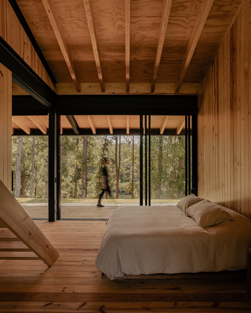 Bedroom with exposed timber ceiling and walls opening to terrace overlooking forest through floor-to-ceiling glazing