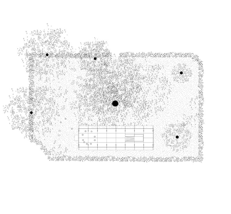 Site plan drawing showing rectangular pavilion surrounded by scattered tree canopies rendered as dots