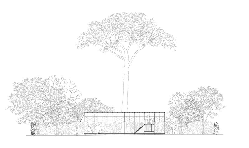 Elevation drawing showing low pavilion with gridded roof nestled between tall trees
