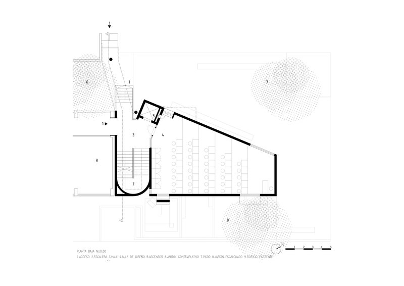 Ground floor plan drawing depicting a curved entrance stair and sloping auditorium with tree canopies