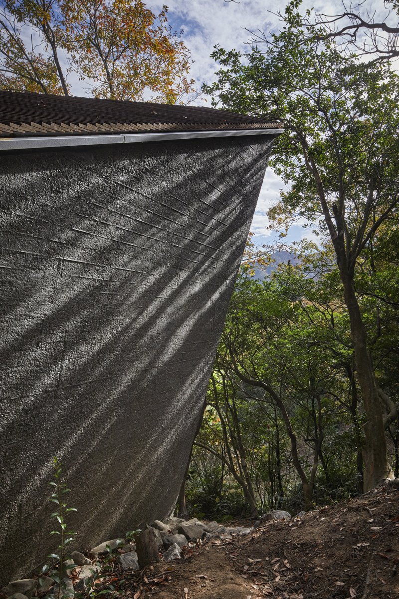 Close-up of the ribbed charred timber cladding at the roof edge against autumn tree canopy