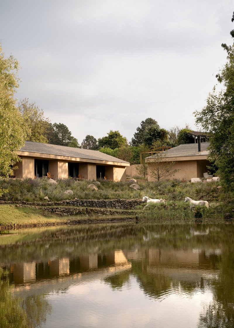 Two low-slung volumes with pitched roofs reflected in a pond with two white dogs