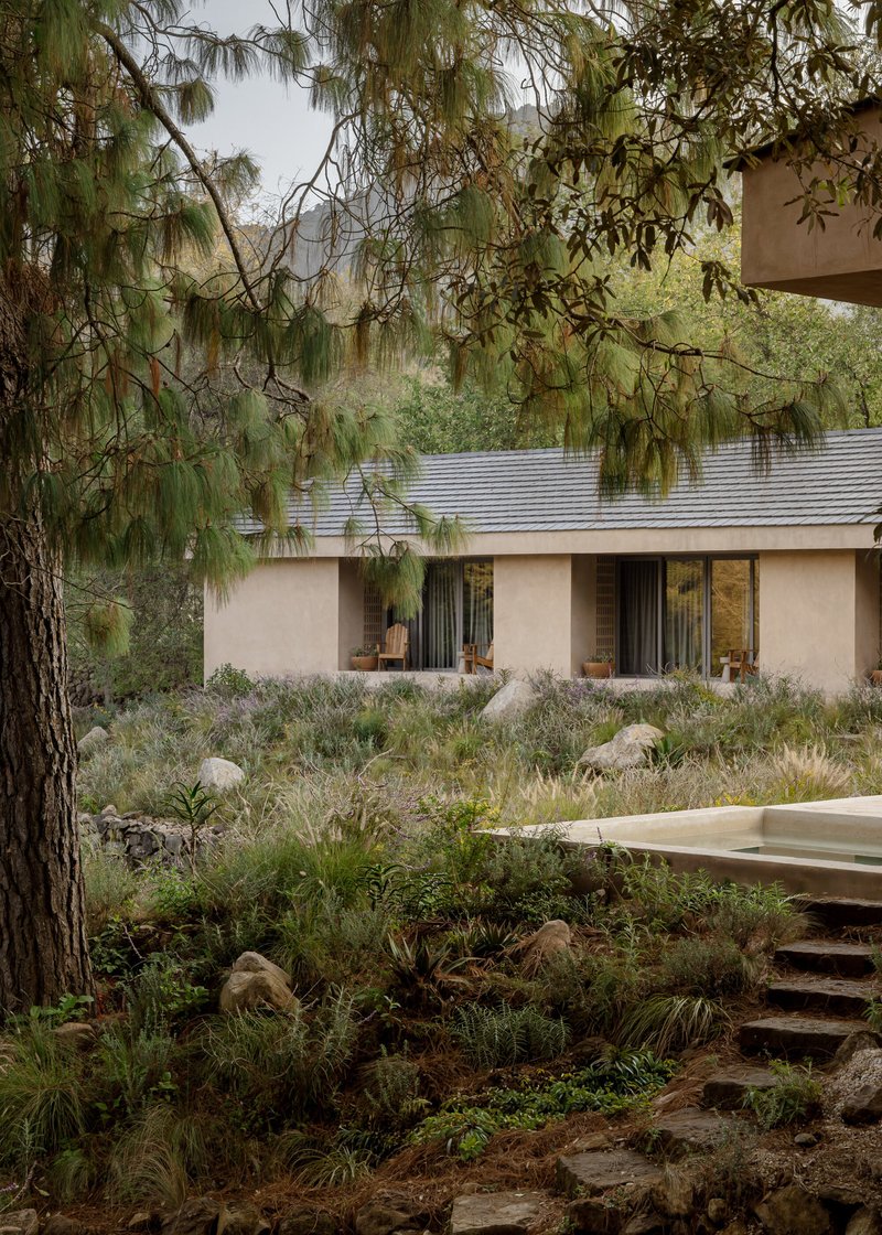 Stone steps leading through planted hillside with pine tree framing the view to the facade