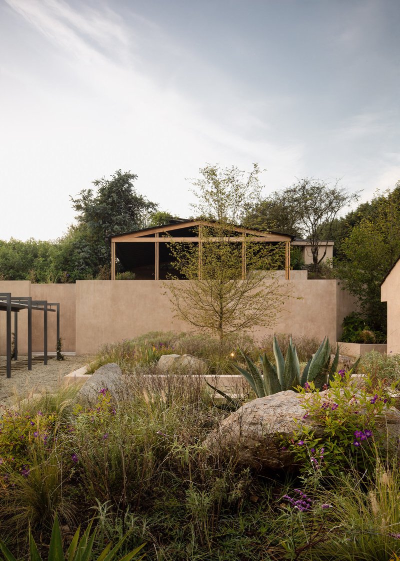 Rammed earth courtyard wall with timber pergola rising above native planted beds and boulders