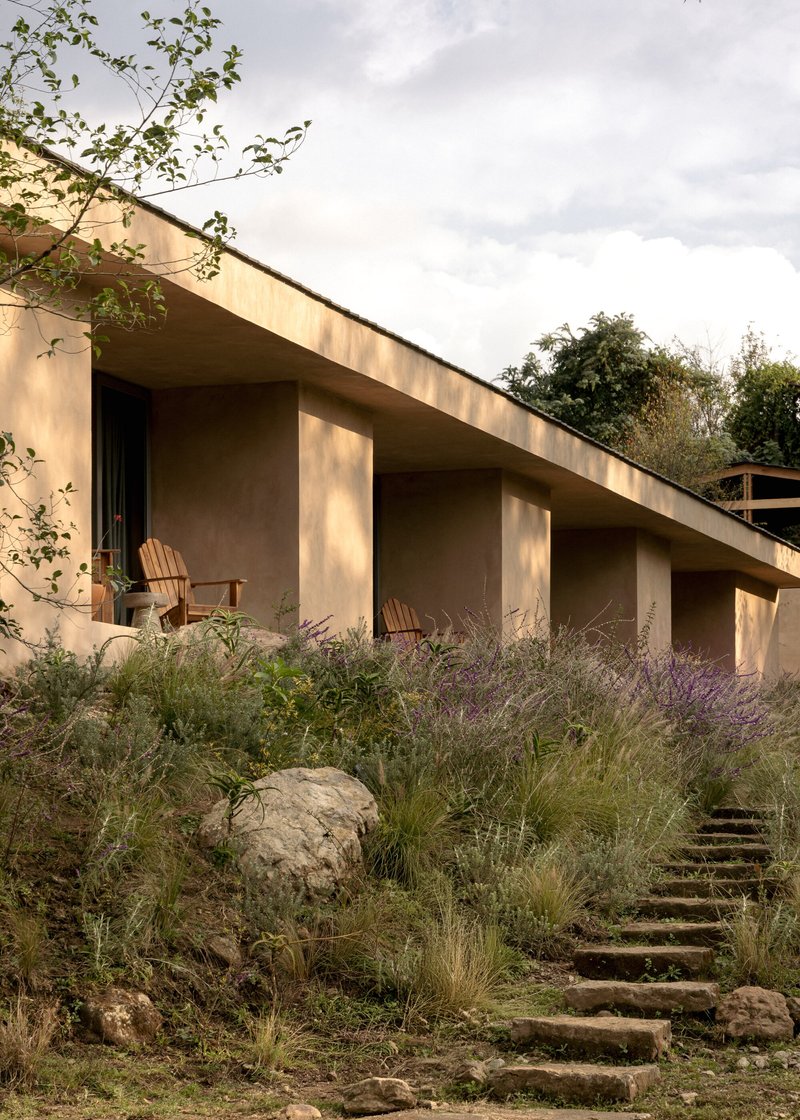 Covered terrace with angled roof overhang and wooden chairs amid native grasses and lavender