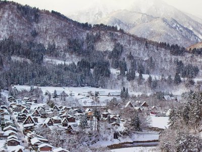 Tectonic Variation -Report