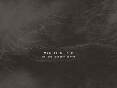 M Y C E L I U M  P A T H