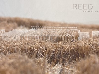REED MAZE - workshop and research centre