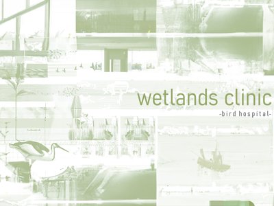wetlands clinic
