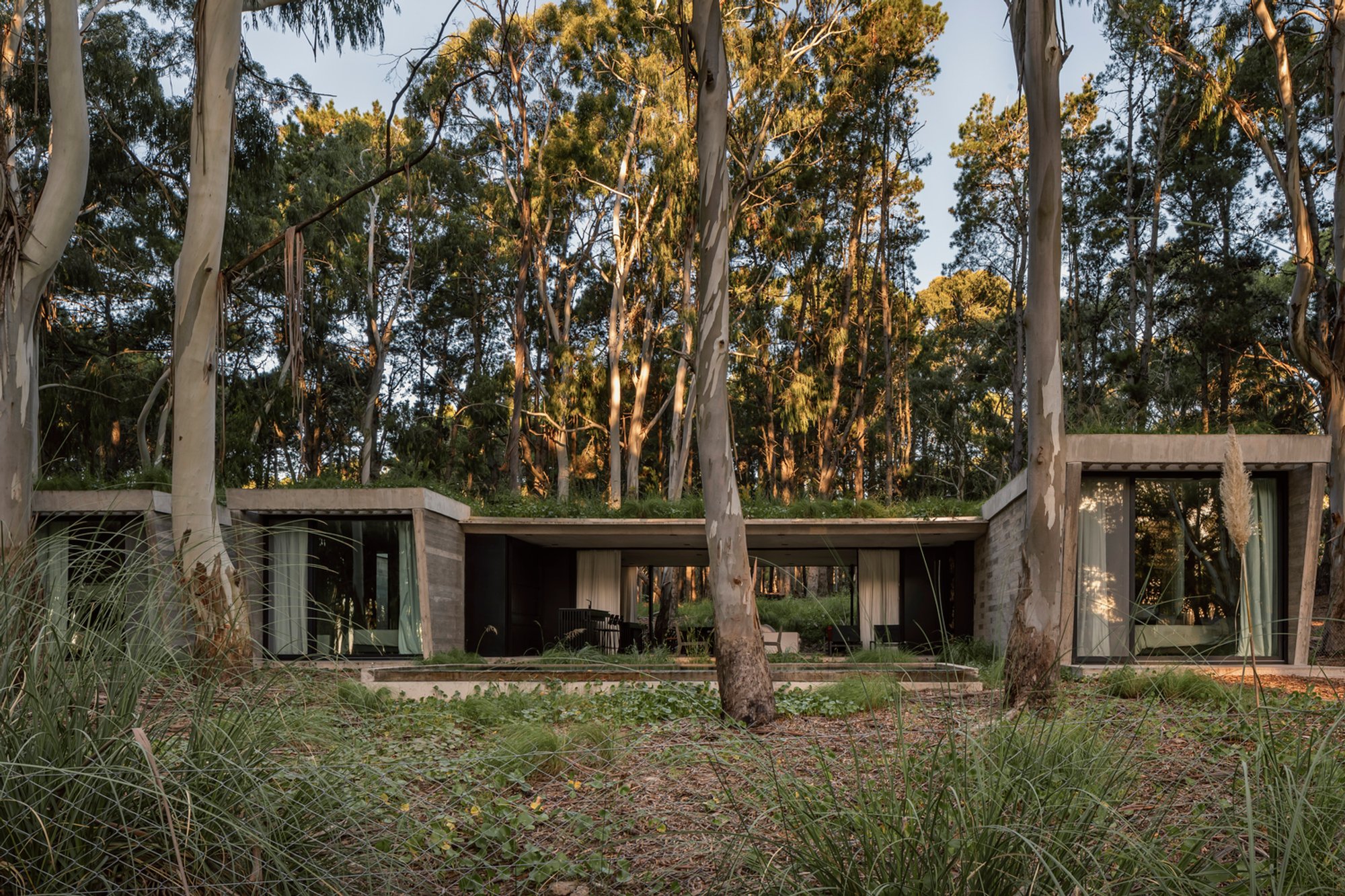 Forest House by Gonzalo Bardach Arquitectura: A Sustainable Refuge Immersed in the Argentine Coastal Forest